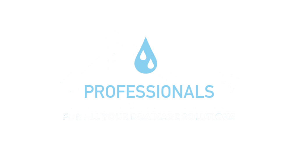 Professionals Logo